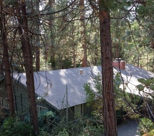 Trout Creek Lodge 