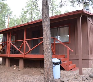 Pines Pinetop 