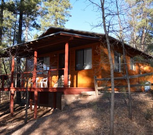 Pines Pinetop 