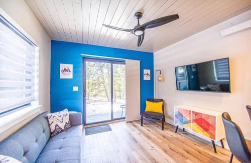 Leadville House | 1BR Loft - Backyard Forest - Near Turqiouse Lake
