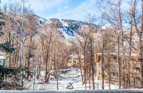 Aspen House | 315 Park Avenue, Luxury Townhouse with River Views in Aspen