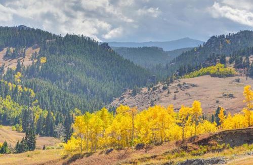 Dayton House | 7 Mi to Bighorn Nat’l Forest: Dog-Friendly Home