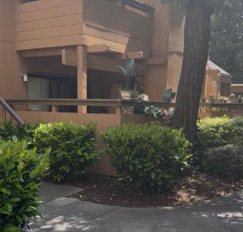 Belmont Apartment | 711 Apt