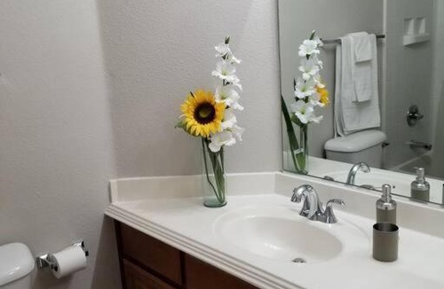 Spring Valley Apartment | A - Fully remodeled and professionally decorated