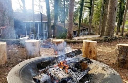 Eureka Springs House | Adventure Cabin 3 King Bed Hot Tub