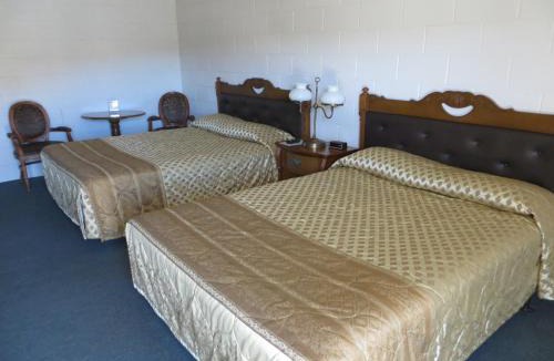 Alamo Hotel | Alamo Inn