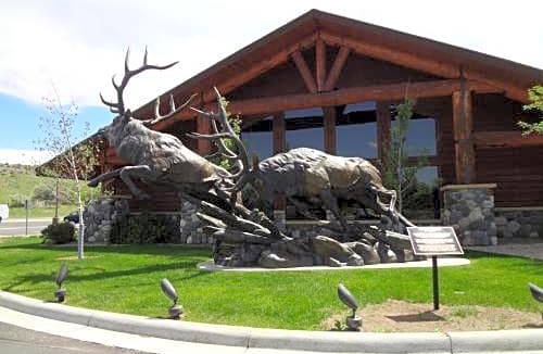Cody Hotel | AmericInn by Wyndham Cody