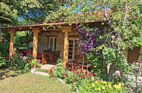 Donje Polje Apartment | Artistic Garden House