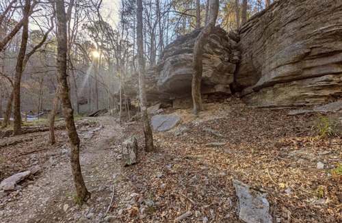 Eureka Springs House | Authentic Log Cabin with Full Kitchen, Fireplace a