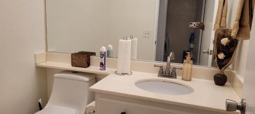 Palmdale House | Be Our Guest-Shared Home Tampa