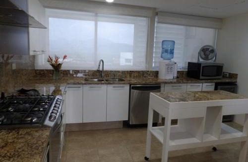 Ixtapa Apartment | Beachfront PH Amara Ixtapa