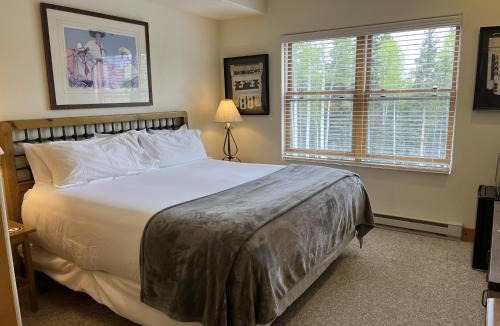 Mountain Village Hotel | Bear Creek Lodge 209B Hotel Room