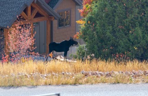 Fish Haven House | Bear Lake Vacation Station
