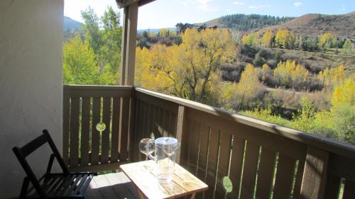 Avon Apartment | Beaver Creek, Avon condo, walk to ski shuttle - on the Eagle River