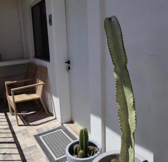 Tijuana Apartment | Bello loft studio en el corazón de Tijuana