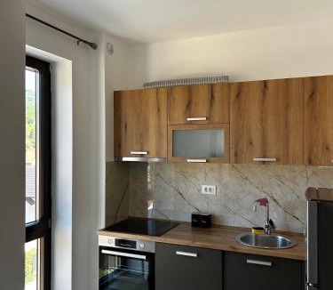 Kolasin Apartment | Bjelasica View