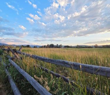 Bozeman House | Black Bear Bungalow w/Hot Tub!