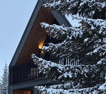 Zabljak Ski Chalet | Black Chalet