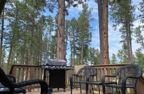 Rapid City House | Black Hills Nature Retreat, Centrally Located