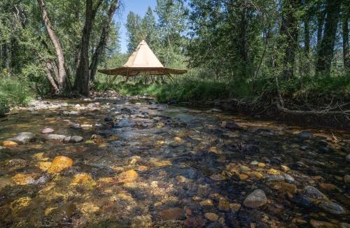 Bozeman Other | Bodhi Farms