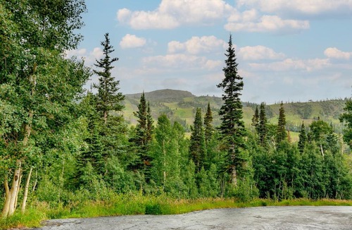Brian Head House | Brian Head Vacation Rental: Walk to Giant Steps!
