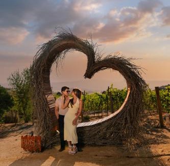 Valle de Guadalupe Hotel | Brisa Del Valle Hotel Boutique