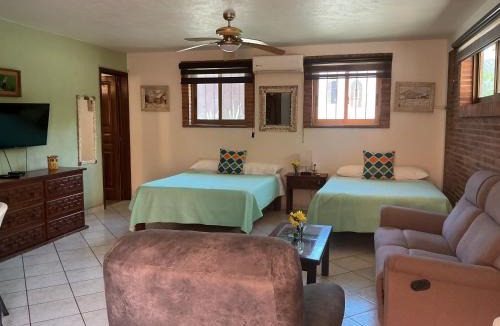 Emiliano Zapata Hotel | Brisa Suave Studio Suite