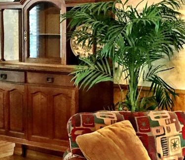Mount Ida House | C15 - Lake view two bedroom, two bath Harbor North luxury cottage with private hot tub overlooking Lake Ouachita