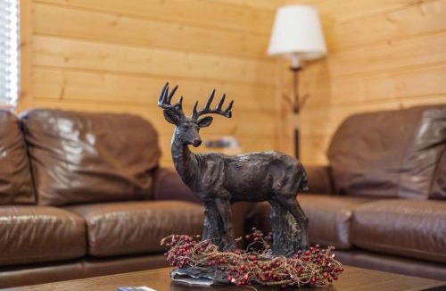 Estes Park House | Cabin 9- Spacious cabin- 4 King beds- 2 baths