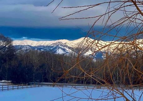 Bozeman Apartment | Cabin on Horse, Donkey and Cow Farm