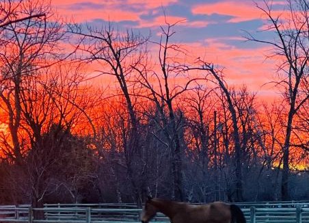 Bozeman Apartment | Cabin on Horse, Donkey and Cow Farm