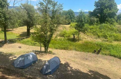 Pricelje Other | Camping Tent JUNIOR