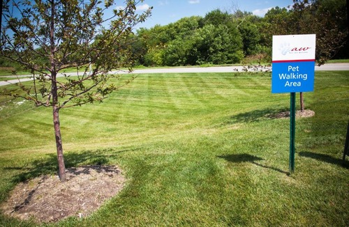 Bellevue Hotel | Candlewood Suites Bellevue by IHG