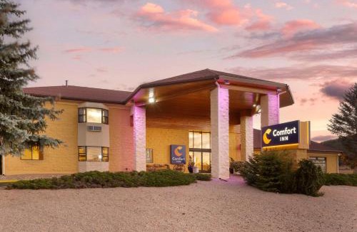 Williams Hotel | Comfort Inn Near Grand Canyon
