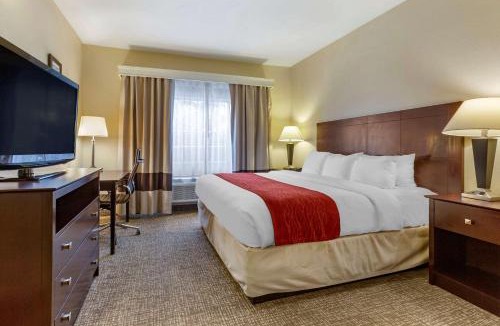 Cortaro Hotel | Comfort Inn & Suites North Tucson Marana