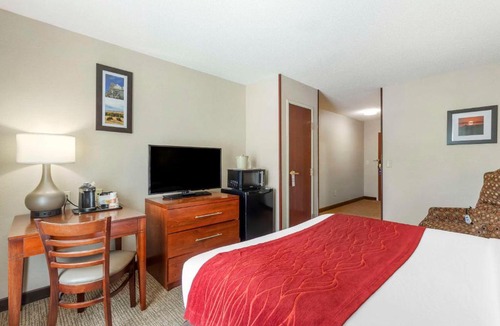 Rapid City Hotel | Comfort Inn & Suites Rapid City South - Mt Rushmore Gateway