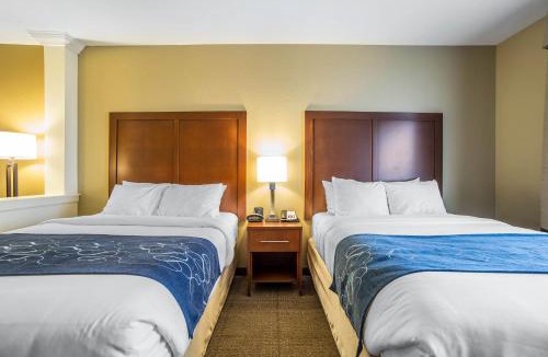 Bozeman Hotel | Comfort Suites Airport-University