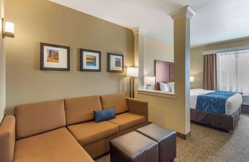 Sun Valley Hotel | Comfort Suites Near Denver Downtown