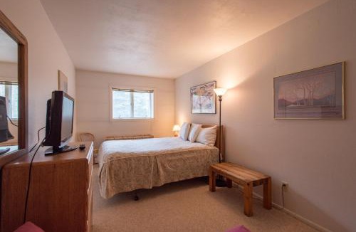 Copper Mountain Village House | Copper Valley B3