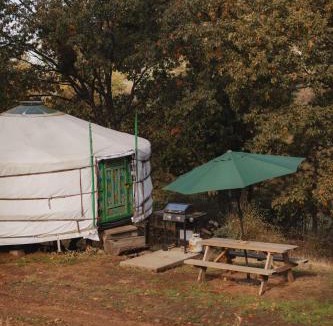 Dunlap House | Cosy yurt at a nature retreat in Sequoia N Forest