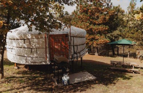 Dunlap House | Cosy yurt at a nature retreat in CA