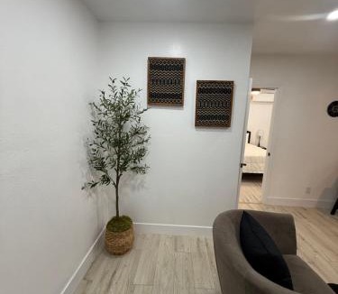 Paradise Apartment | cozy casa colorado