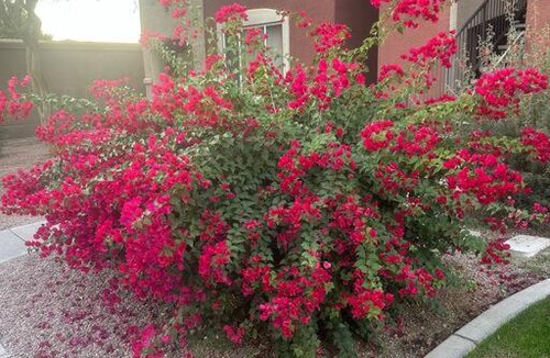 Camelback East Apartment | Cozy Condo in Gated Community with Pool by PHX Airport, Tempe, and Old Town