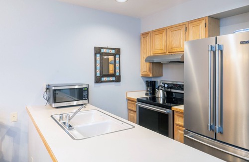 Telluride Condo | Cozy Condo steps to Coonskin lift