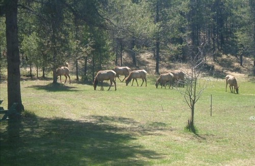Coram House | “Cozy Mountain Home just 5 minutes from Glacier Park”