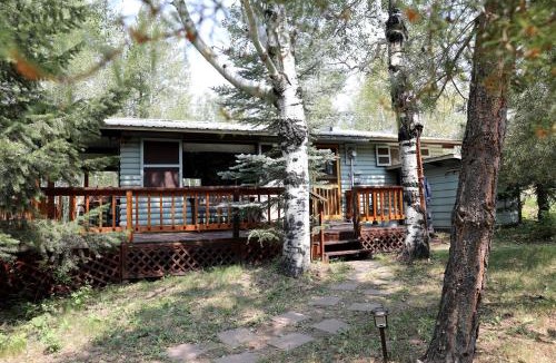 Last Chance House | Cozy Secluded Cabin Surrounded by Trees near Yellowstone, Idaho