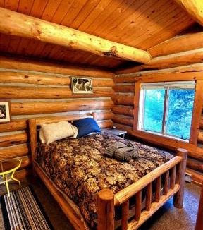 Bozeman Apartment | Cozy Wolf Log Cabin Mountain Ski lodge