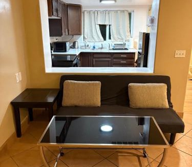 F. Q. Story Apartment | CRYStALZ pool studio kitchen DWNtWN stadiums arts