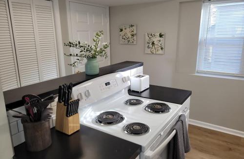 Joslyn Castle Apartment | Davenport Dwelling Unit 9 Midtown 3BD
