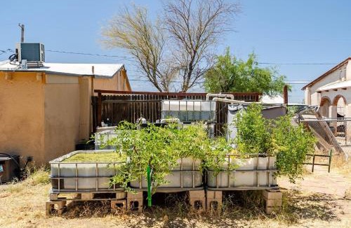 Tucson House | Desert Aquaponic Garden